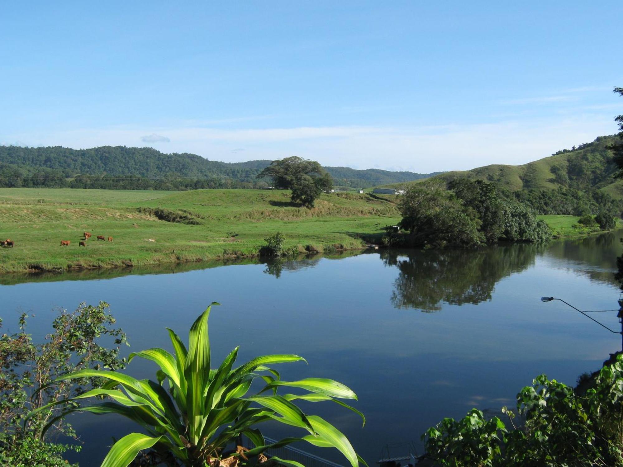 Daintree Riverview Lodges Kültér fotó