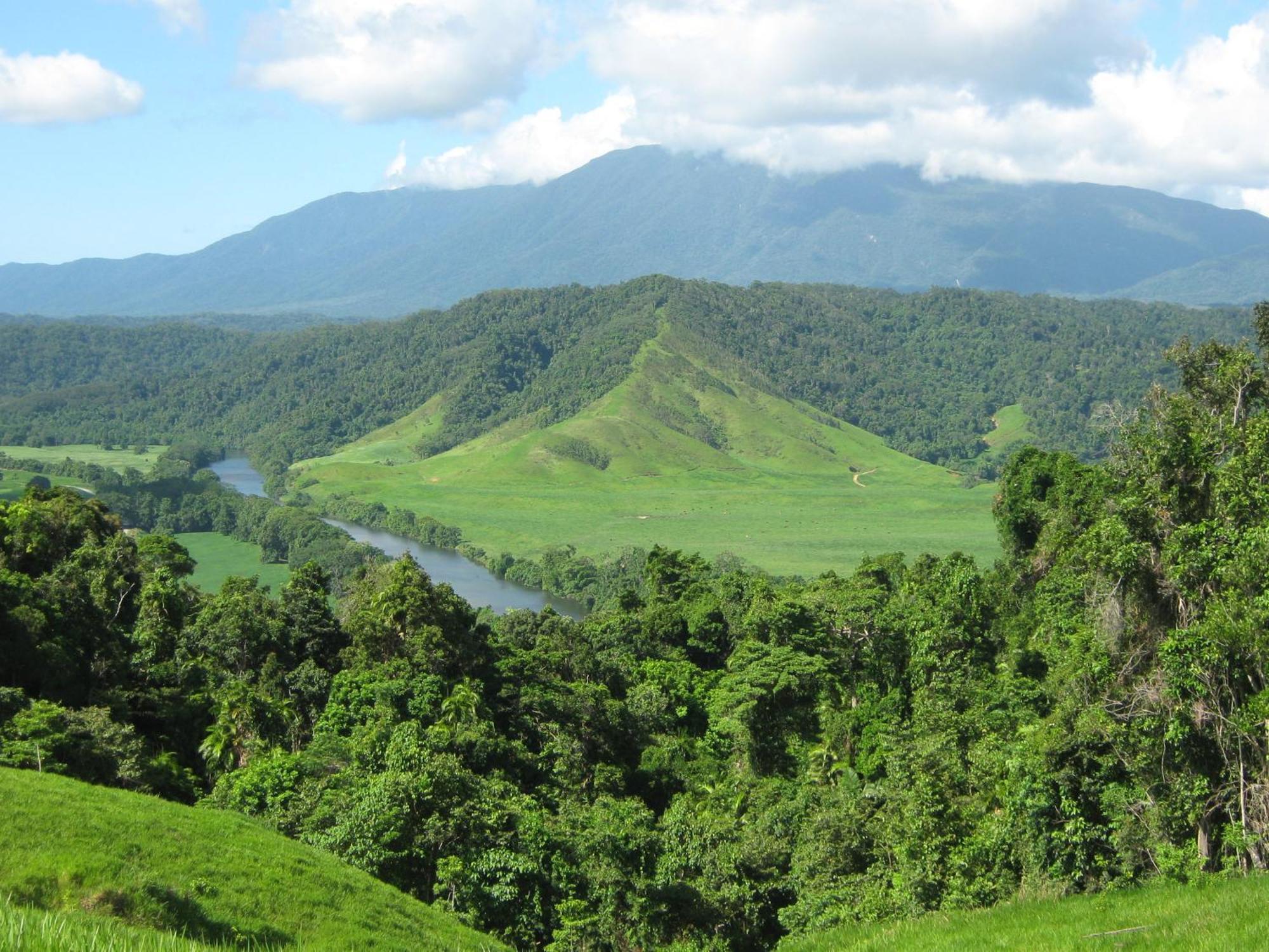 Daintree Riverview Lodges Kültér fotó